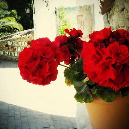 Hacienda Puerto De Muelas Ronda