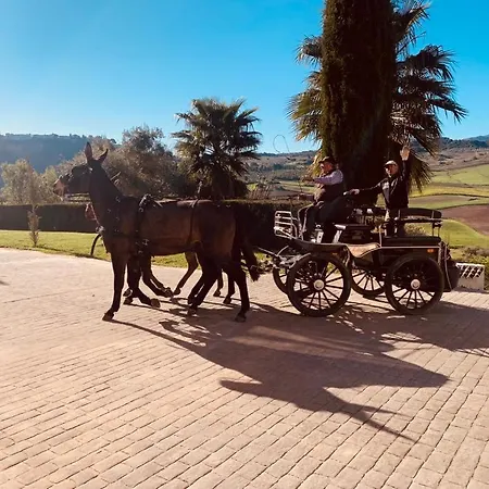 Hacienda Puerto De Muelas Готель